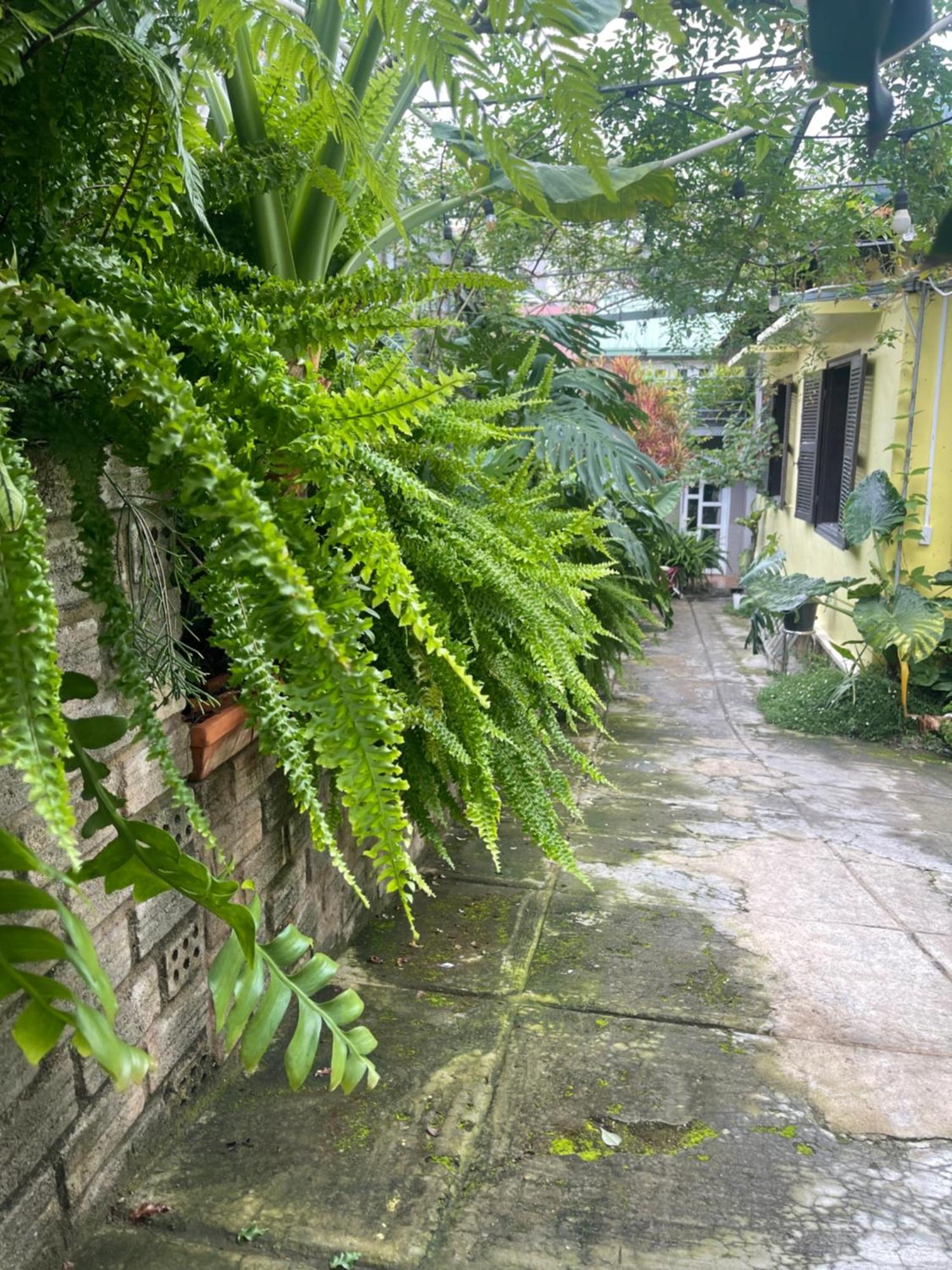 Doc Garden Homestay 달랏 외부 사진